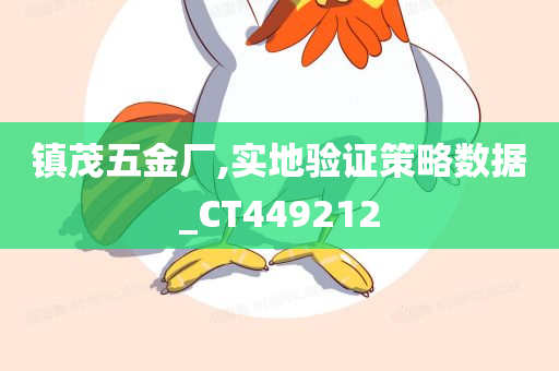 镇茂五金厂,实地验证策略数据_CT449212