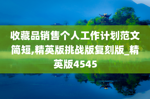 收藏品销售个人工作计划范文简短,精英版挑战版复刻版_精英版4545