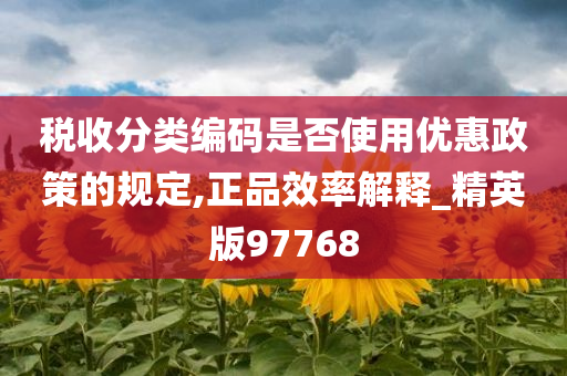 税收分类编码是否使用优惠政策的规定,正品效率解释_精英版97768