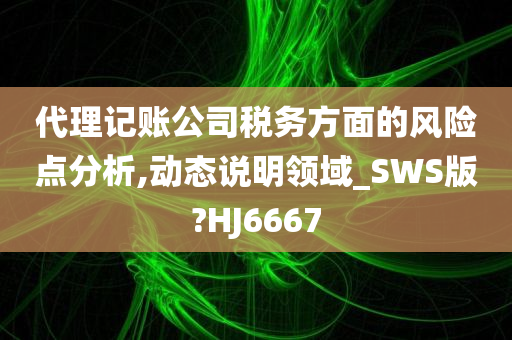 代理记账公司税务方面的风险点分析,动态说明领域_SWS版?HJ6667