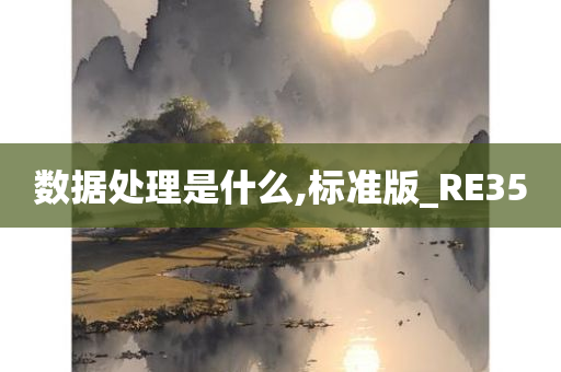 数据处理是什么,标准版_RE35