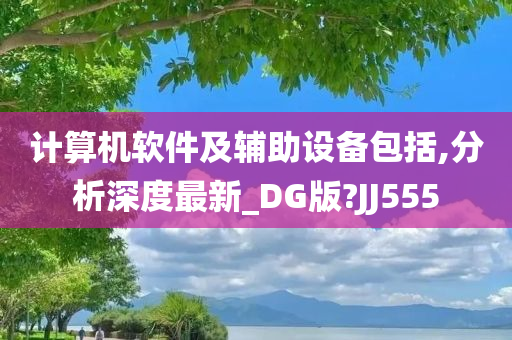 计算机软件及辅助设备包括,分析深度最新_DG版?JJ555