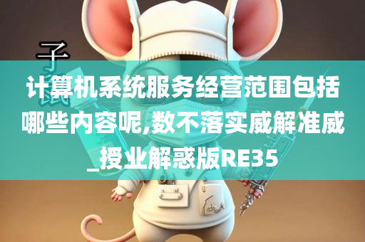 计算机系统服务经营范围包括哪些内容呢,数不落实威解准威_授业解惑版RE35