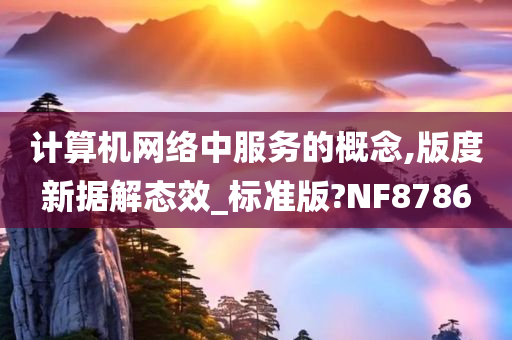 计算机网络中服务的概念,版度新据解态效_标准版?NF8786