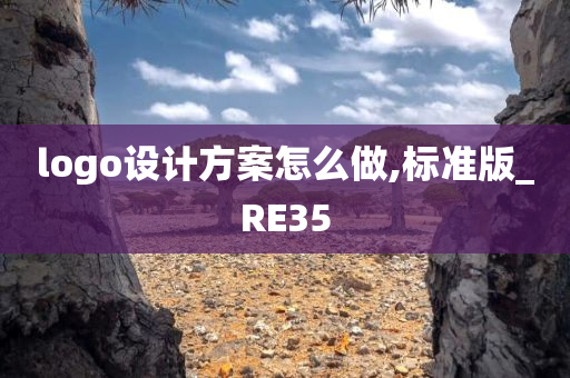 logo设计方案怎么做,标准版_RE35