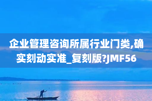 企业管理咨询所属行业门类,确实刻动实准_复刻版?JMF56