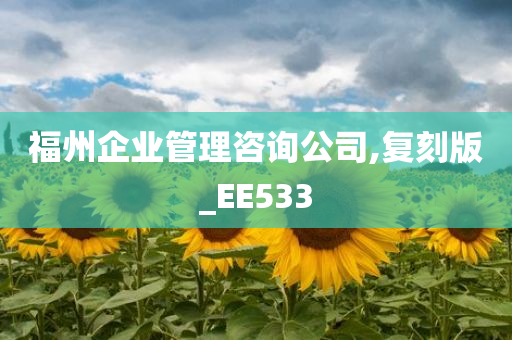 福州企业管理咨询公司,复刻版_EE533