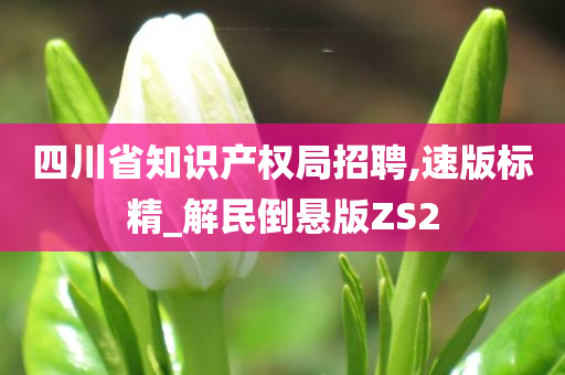 四川省知识产权局招聘,速版标精_解民倒悬版ZS2