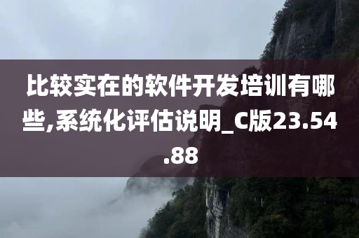 比较实在的软件开发培训有哪些,系统化评估说明_C版23.54.88