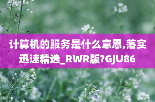 计算机的服务是什么意思,落实迅速精选_RWR版?GJU86