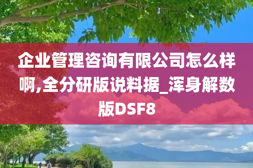 企业管理咨询有限公司怎么样啊,全分研版说料据_浑身解数版DSF8