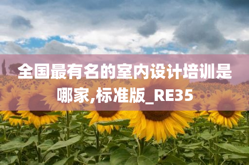 全国最有名的室内设计培训是哪家,标准版_RE35