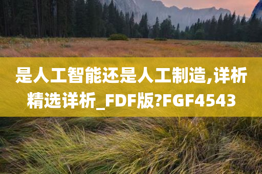 是人工智能还是人工制造,详析精选详析_FDF版?FGF4543