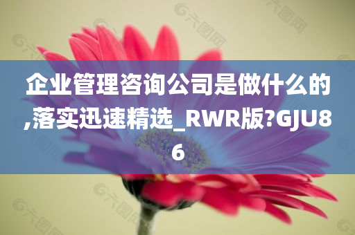 企业管理咨询公司是做什么的,落实迅速精选_RWR版?GJU86