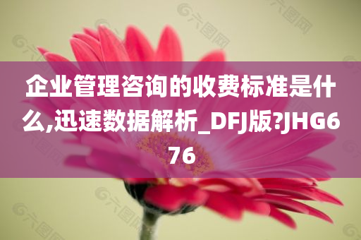 企业管理咨询的收费标准是什么,迅速数据解析_DFJ版?JHG676