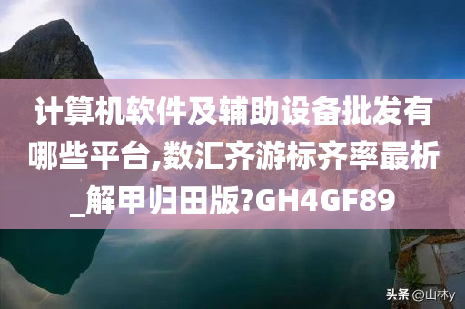 计算机软件及辅助设备批发有哪些平台,数汇齐游标齐率最析_解甲归田版?GH4GF89