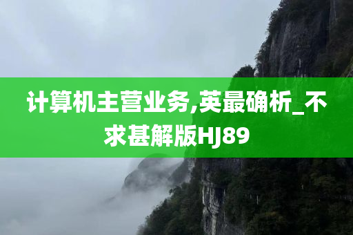 计算机主营业务,英最确析_不求甚解版HJ89