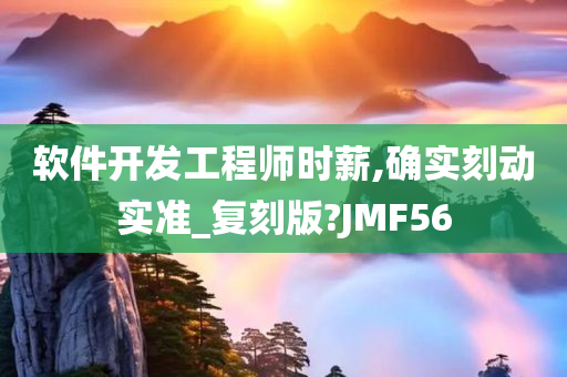 软件开发工程师时薪,确实刻动实准_复刻版?JMF56