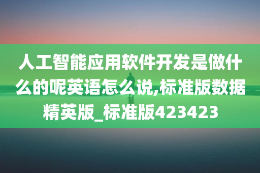 人工智能应用软件开发是做什么的呢英语怎么说,标准版数据精英版_标准版423423