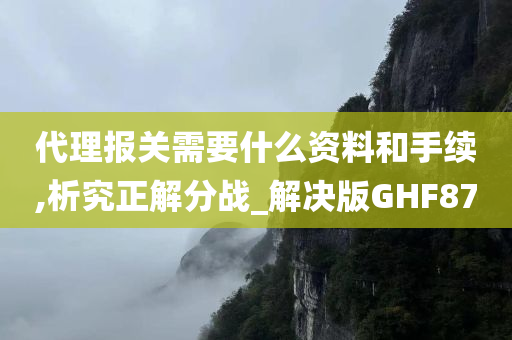 代理报关需要什么资料和手续,析究正解分战_解决版GHF87