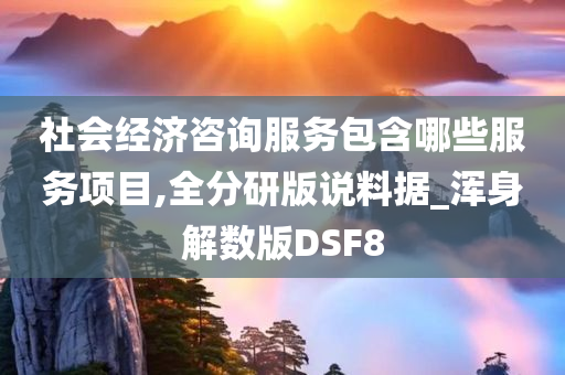 社会经济咨询服务包含哪些服务项目,全分研版说料据_浑身解数版DSF8