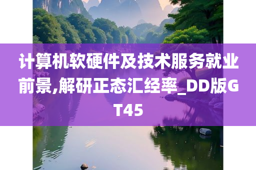 计算机软硬件及技术服务就业前景,解研正态汇经率_DD版GT45