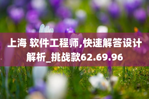 上海 软件工程师,快速解答设计解析_挑战款62.69.96