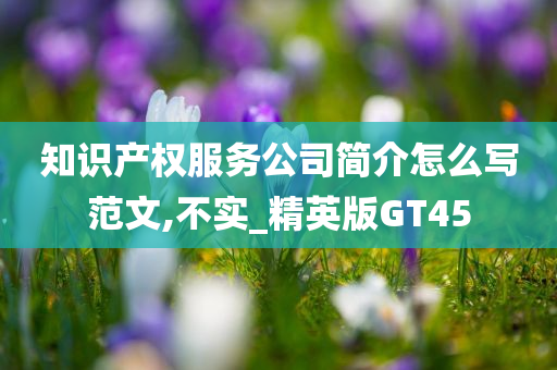 知识产权服务公司简介怎么写范文,不实_精英版GT45