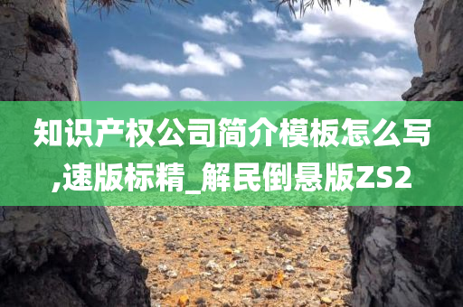 知识产权公司简介模板怎么写,速版标精_解民倒悬版ZS2