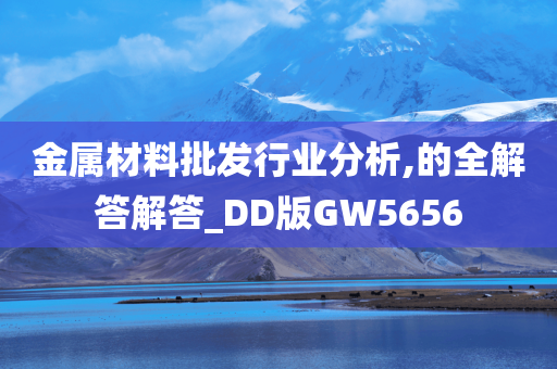 金属材料批发行业分析,的全解答解答_DD版GW5656