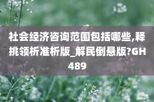 社会经济咨询范围包括哪些,释挑领析准析版_解民倒悬版?GH489