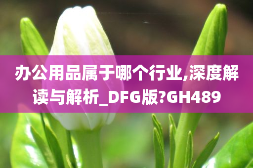 办公用品属于哪个行业,深度解读与解析_DFG版?GH489