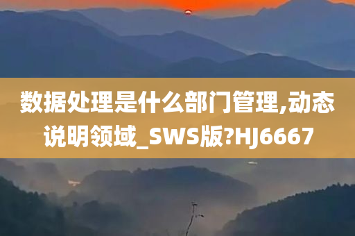 数据处理是什么部门管理,动态说明领域_SWS版?HJ6667