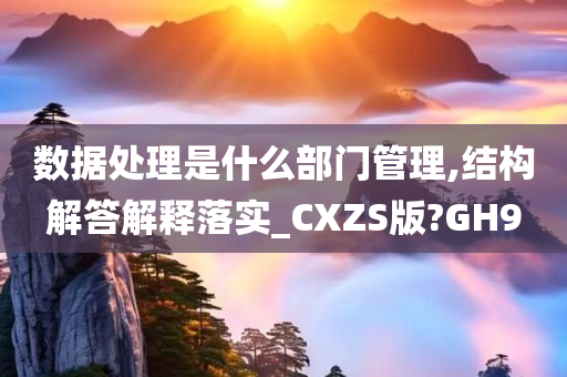 数据处理是什么部门管理,结构解答解释落实_CXZS版?GH9