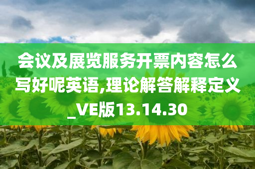 会议及展览服务开票内容怎么写好呢英语,理论解答解释定义_VE版13.14.30