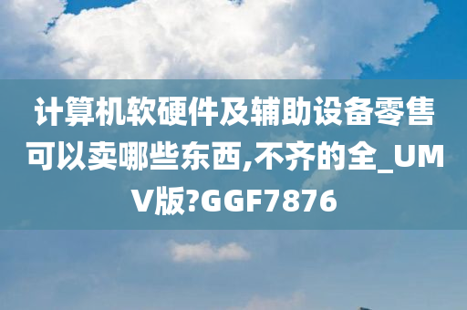 计算机软硬件及辅助设备零售可以卖哪些东西,不齐的全_UMV版?GGF7876