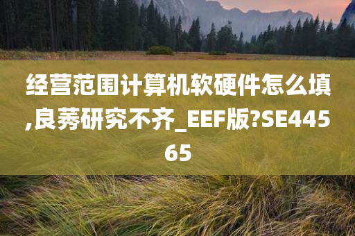 经营范围计算机软硬件怎么填,良莠研究不齐_EEF版?SE44565