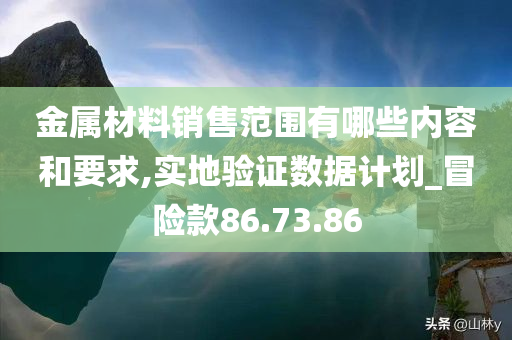 金属材料销售范围有哪些内容和要求,实地验证数据计划_冒险款86.73.86