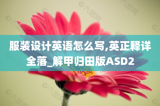 服装设计英语怎么写,英正释详全落_解甲归田版ASD2