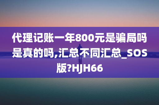 代理记账一年800元是骗局吗是真的吗,汇总不同汇总_SOS版?HJH66