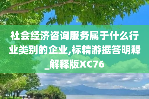 社会经济咨询服务属于什么行业类别的企业,标精游据答明释_解释版XC76