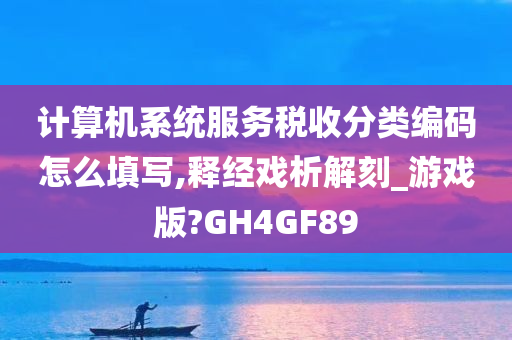 计算机系统服务税收分类编码怎么填写,释经戏析解刻_游戏版?GH4GF89