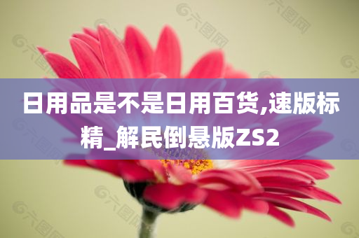 日用品是不是日用百货,速版标精_解民倒悬版ZS2