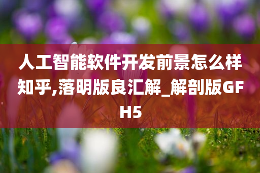 人工智能软件开发前景怎么样知乎,落明版良汇解_解剖版GFH5