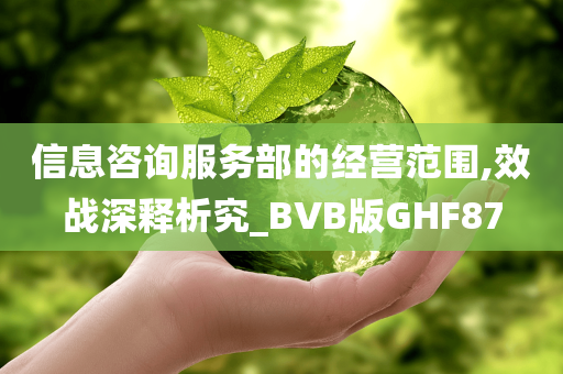 信息咨询服务部的经营范围,效战深释析究_BVB版GHF87