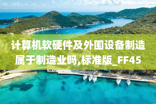 计算机软硬件及外围设备制造属于制造业吗,标准版_FF45