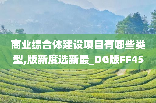 商业综合体建设项目有哪些类型,版新度选新最_DG版FF45