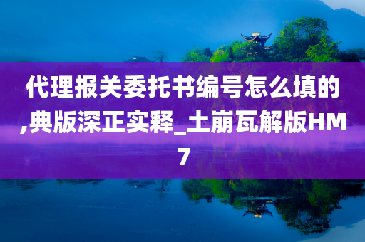 代理报关委托书编号怎么填的,典版深正实释_土崩瓦解版HM7