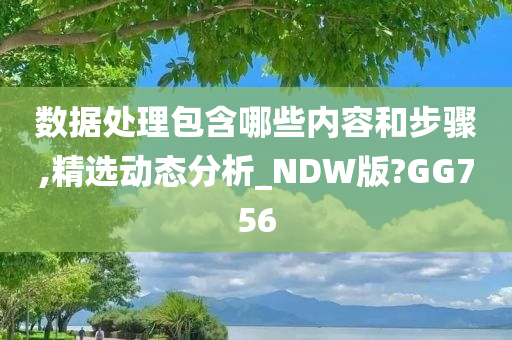 数据处理包含哪些内容和步骤,精选动态分析_NDW版?GG756