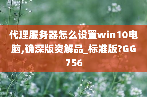 代理服务器怎么设置win10电脑,确深版资解品_标准版?GG756